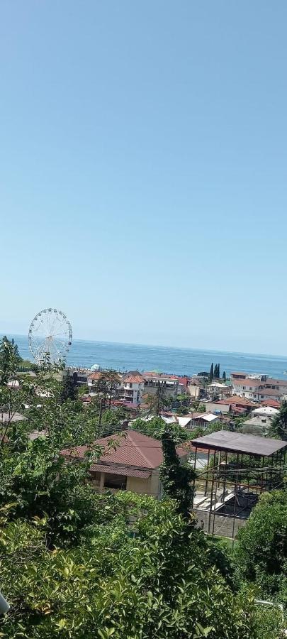 Гостевой Дом В Гагре Gagra Habitación foto